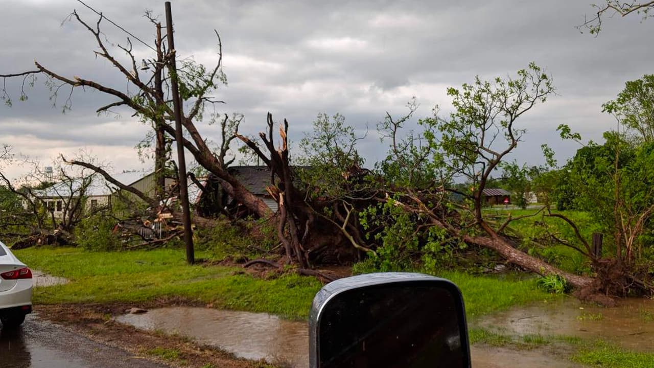 Árboles caídos, residencias dañadas y varias personas lesionadas tras supuesto tornado que tocó tierra en Franklin, Texas, un poblado ubicado unas 125 millas al norte de Houston.