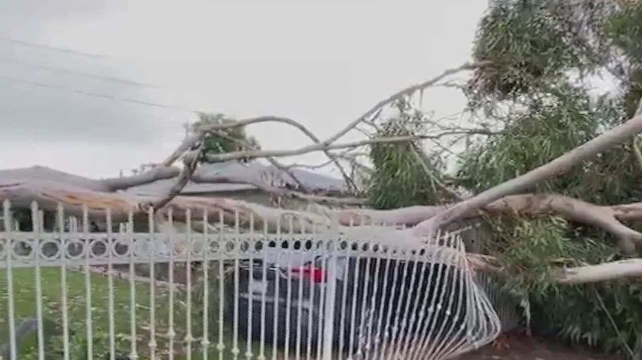 Parque nacional del Valle de la Muerte sorprende en su reapertura con un lago temporal