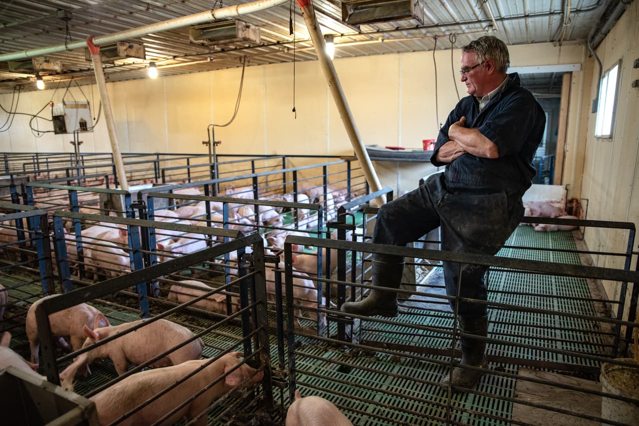 Leon Sheets is another farmer who appears not to be upset by the circumstances. He gave the impression that he does not have time to worry now and that he will wait until things get really bad. Sheets was named Pig Farmer of the Year in 2017, a title that reflects his commitment to educate the public and be a spokesperson for other pig producers.