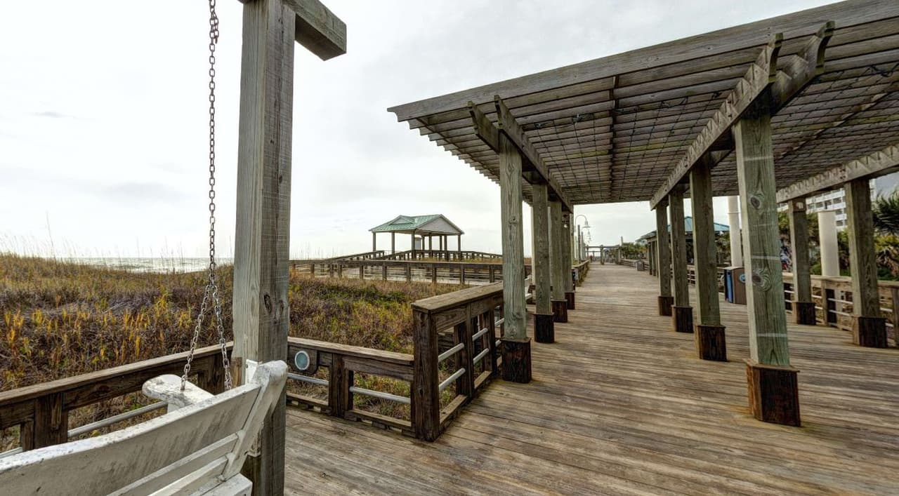 <b>Carolina Beach. </b>Los viajeros han disfrutado de estas playas y de su boardwalk, una especie de corredor de madera a orillas del mar, desde finales del siglo XIX. A lo largo de los años, este corredor peatonal se ha ampliado para incluir tiendas, restaurantes y un parque de atracciones. El Parque Estatal Carolina Beach es otra de las atracciones del lugar, donde se destaca el sendero Flytrap Trail, repleto de una pequeña planta carnívora conocida como Venus Flytrap, que atrapa insectos.
<br>