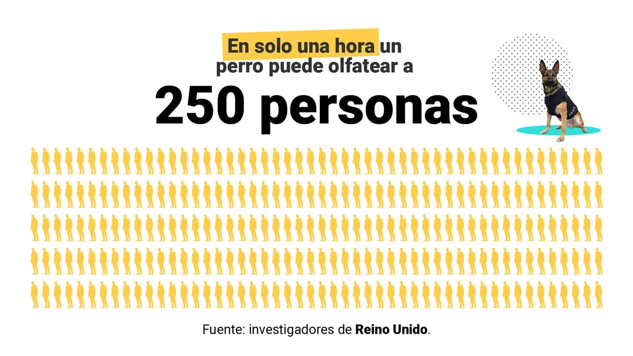 <a href="https://www.univision.com/noticias/los-perros-pueden-oler-si-alguien-tiene-el-coronavirus-esto-es-lo-que-sabemos" target="_blank">Aquí puedes leer la explicación completa</a>.