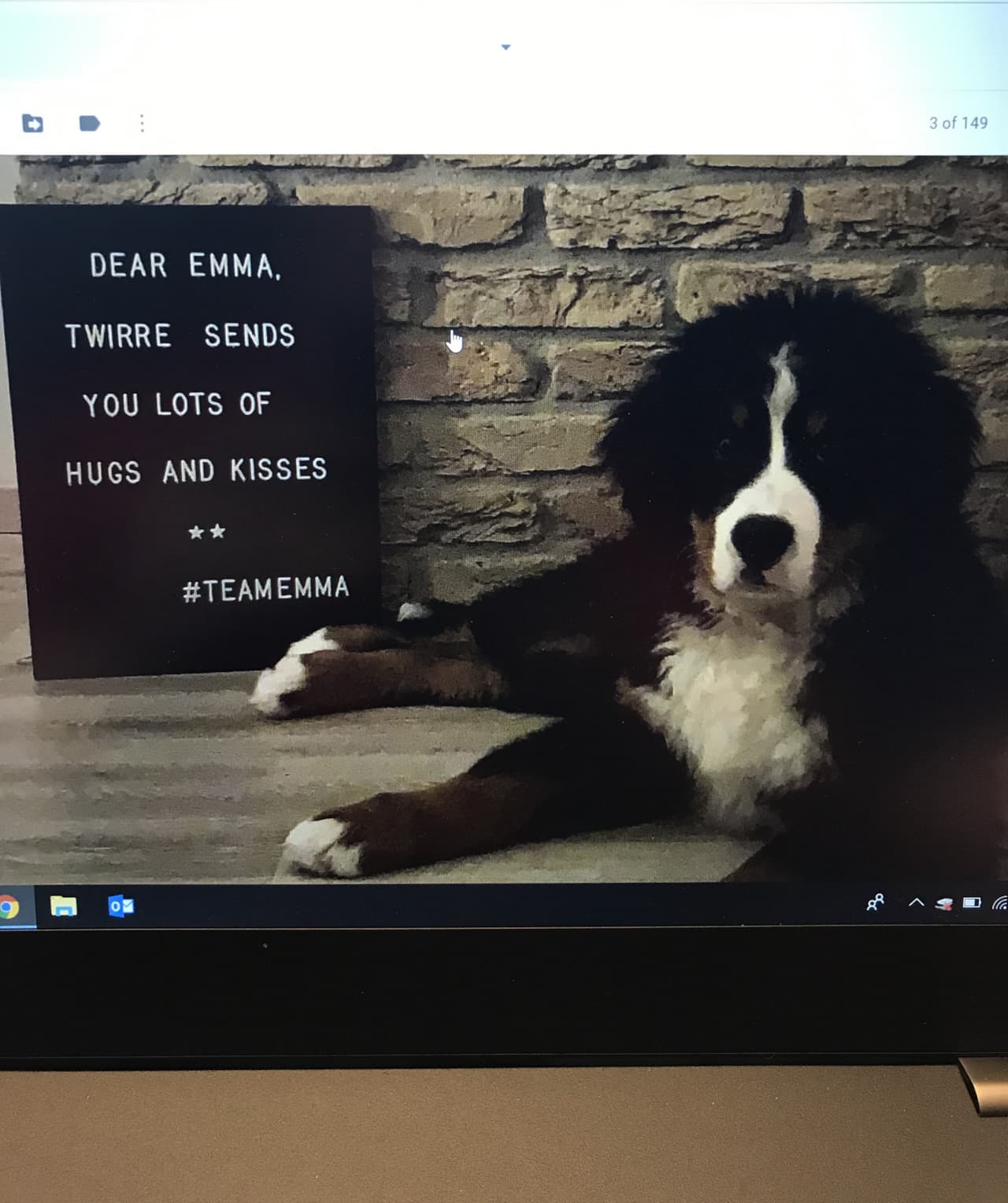 Emma es una niña de Wisconsin que padece un raro tipo de cáncer terminal y ahora recibe a diario miles fotos y cartas de perros de todo el mundo para animarla.
