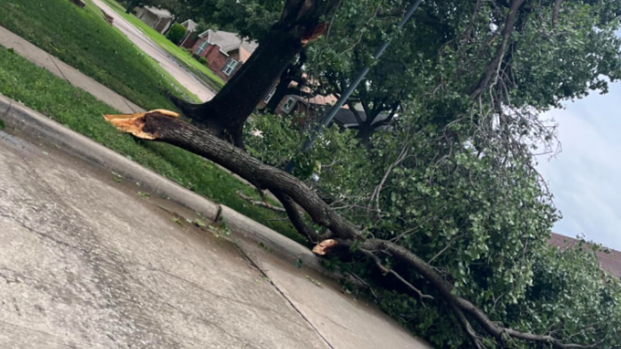 <b>En las calles del centro de Dallas hay ramas y otros objetos peligrosos</b>, como cables del tendido eléctrico o letreros de señalización.
