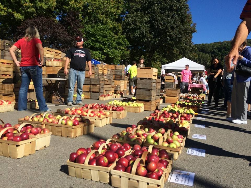 <b>Ve al applefest en franklin:</b> Applefest en la ciudad de Franklin, al noroeste de Pensilvania, es uno de los eventos otoñales más grandes de la región. El evento celebra la abundancia del otoño y el hermoso follaje de la región. Durante Applefest, los visitantes pueden buscar productos de más de 300 proveedores, correr en una carrera de 5 km, realizar recorridos por el centro histórico, disfrutar de una exhibición de autos antiguos y mucho más. También habrá muchos eventos relacionados con la manzana, incluidos concursos de comer pasteles y un desayuno de panqueques de manzana.
<br>