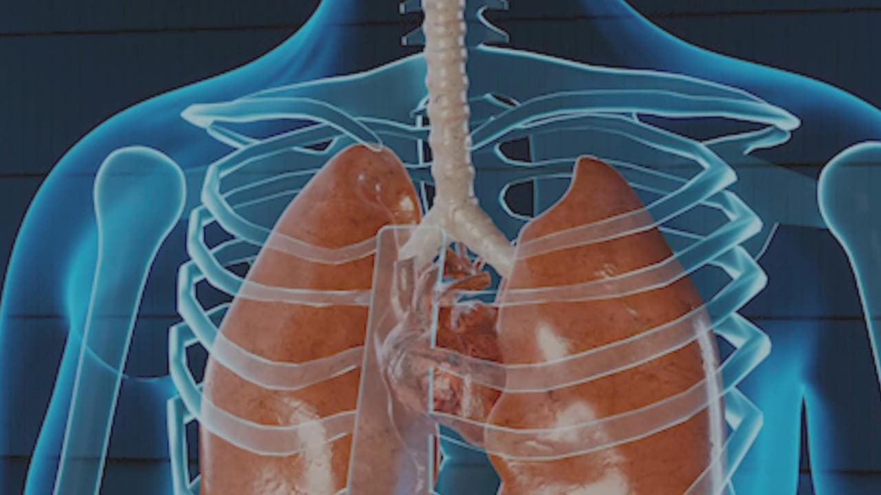 El metapneumovirus puede representar una amenaza para la salud de los niños. El doctor Ilan Shapiro describe los síntomas que pueden ser una señal para llevar a los menores al hospital.