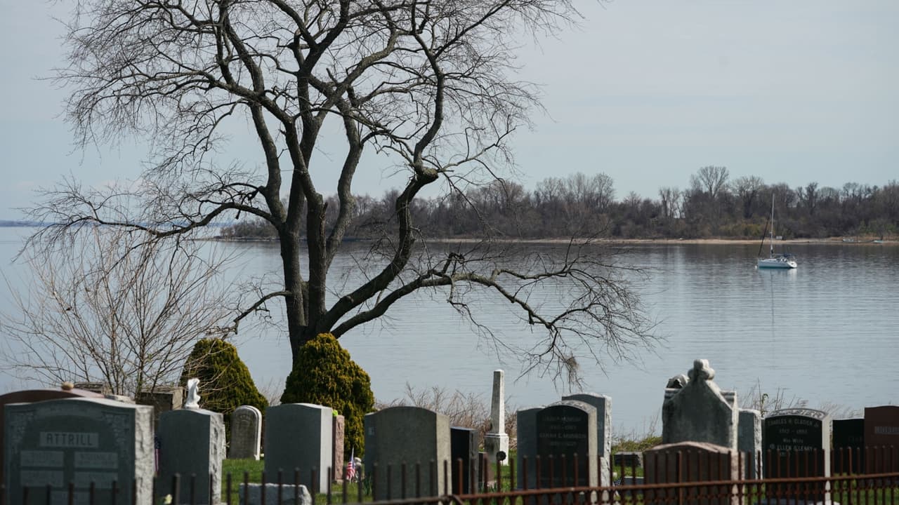 Tour en Hart Island y el cementerio público más grande del país: cómo participar
