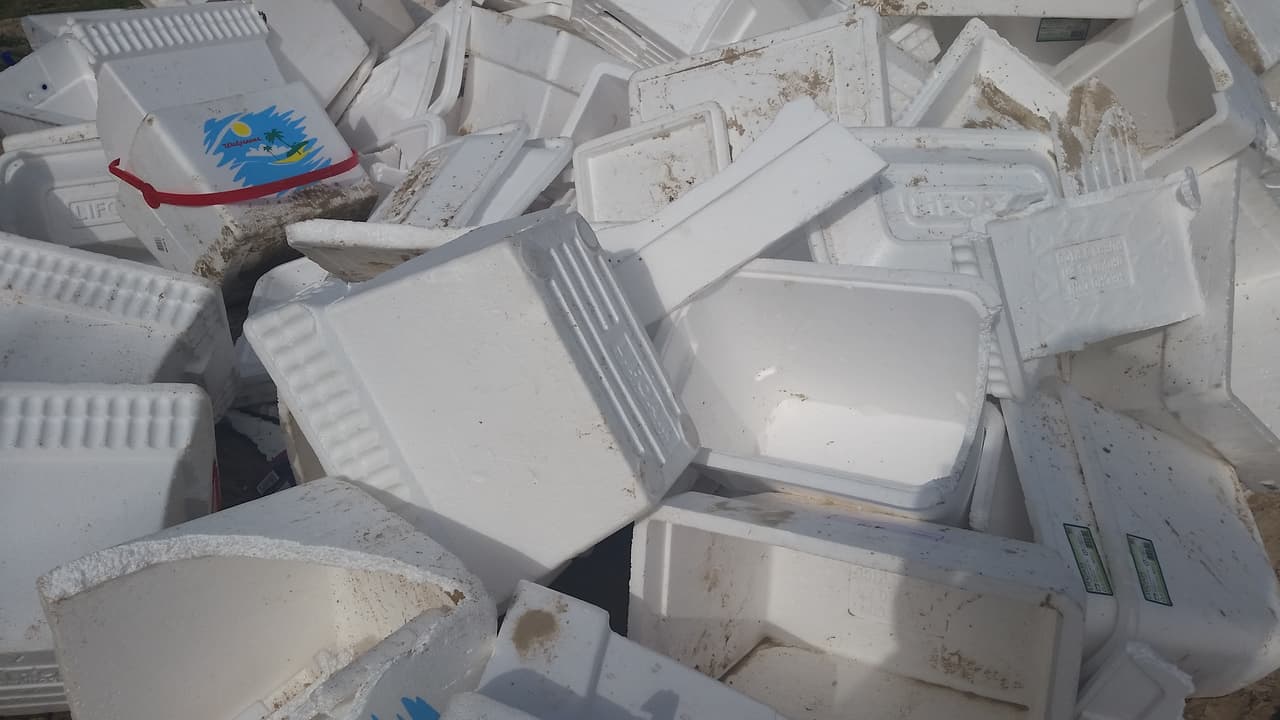 Pese al llamado de disfrutar la noche pero concientes de que las playas hay que mantenerlas limpias, balnearios como Isla Verde acabaron llenos de basura.