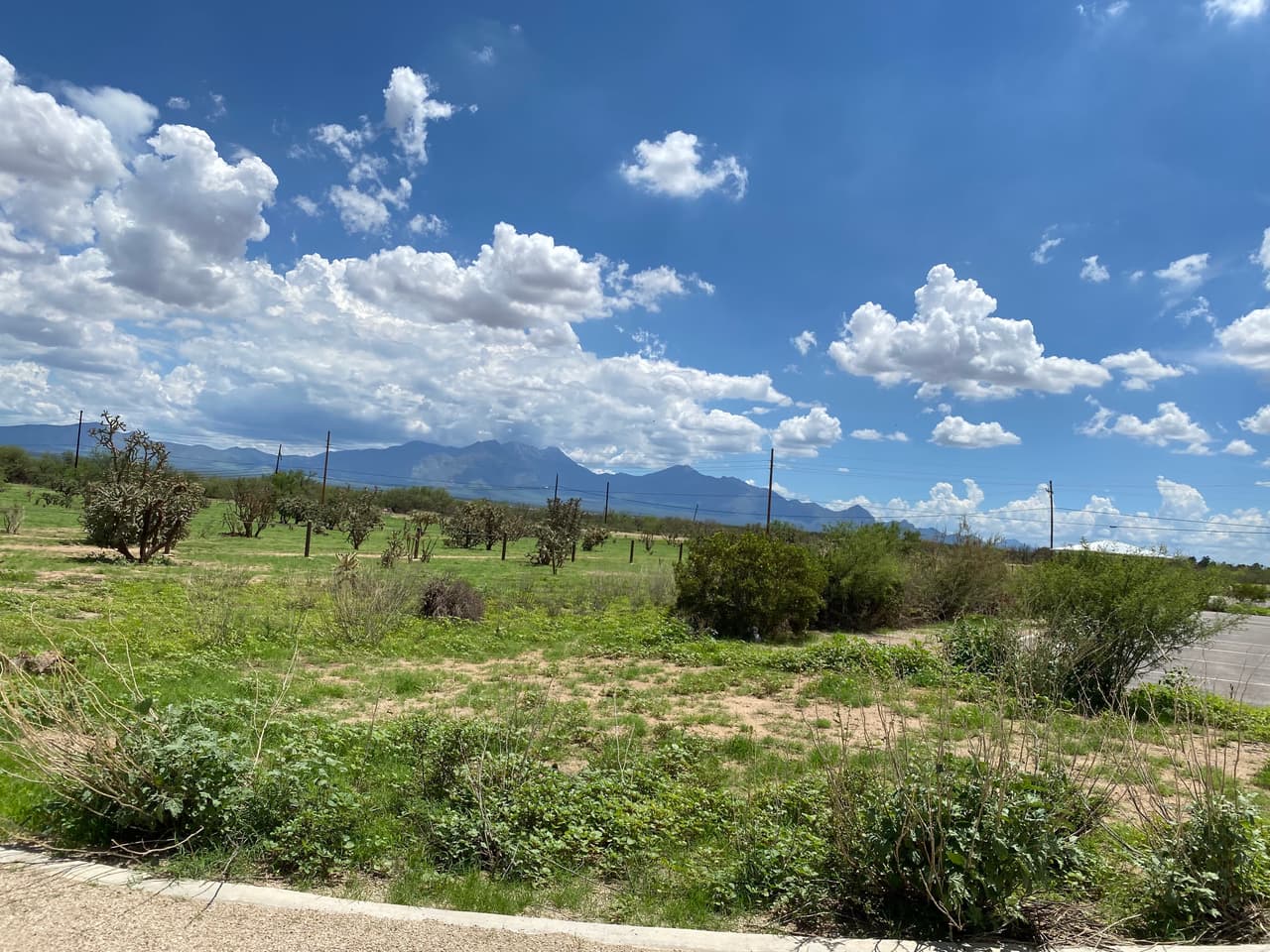 Además de batir récords de lluvia, esta temporada de monzones ha mejorado constantemente las condiciones de sequía.