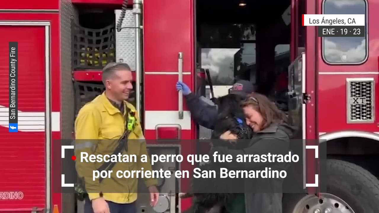 Rescatan a perro que fue arrastrado por corriente en San Bernardino