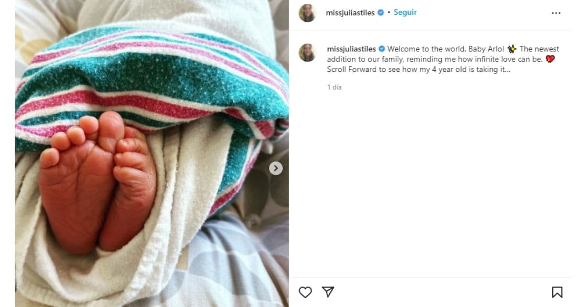 segundo hijo de Julia Stiles