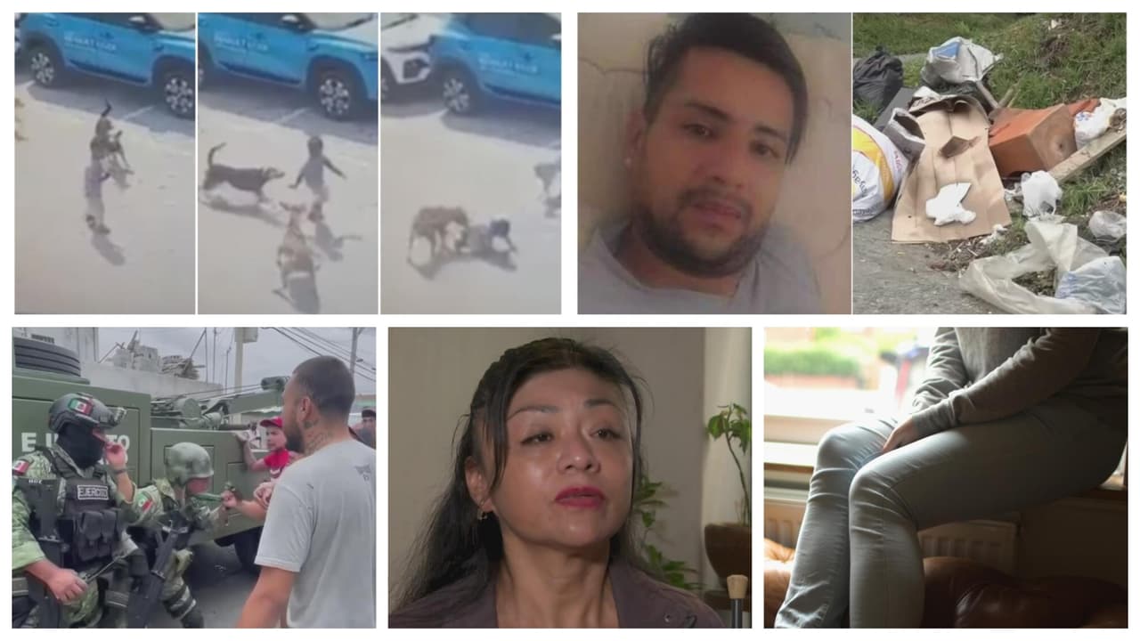 Los 5 casos de Impacto: Liberan a una niña que era prostituida por su madre y otra de 2 años es atacada por varios perros 