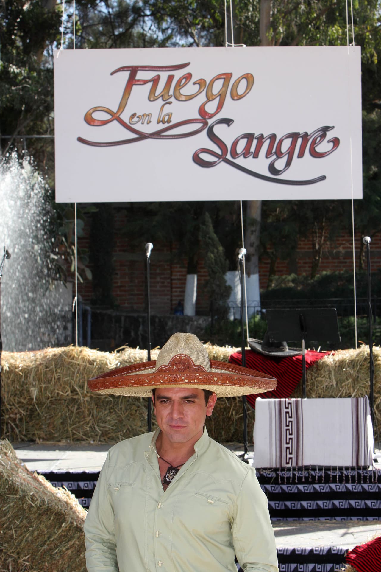 En 2008 
<b><a href="http://www.univision.com/temas/jorge-salinas">Jorge Salinas</a></b> le dio vida a 'Oscar Robles' en 'Fuego en la sangre' y se enamoró perdidamente de 'Jimena Elizondo', personaje interpretado por 
<b><a href="http://www.univision.com/temas/elizabeth-alvarez">Elizabeth Álvarez</a></b>.