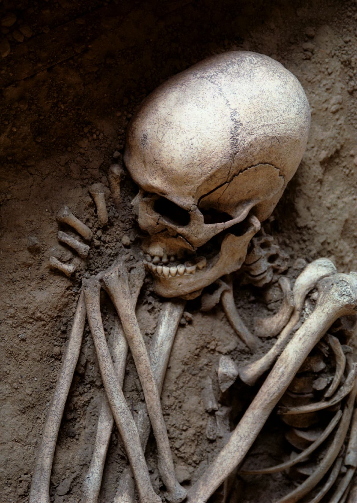 Se solía tomar un cráneo y escribir la frase “fui lo que eres, serás lo que soy”, que invitaba a la reflexión y a percatarse de lo efímero que es la vida y la importancia de vivir cada día porque la muerte podía llegar en cualquier momento.