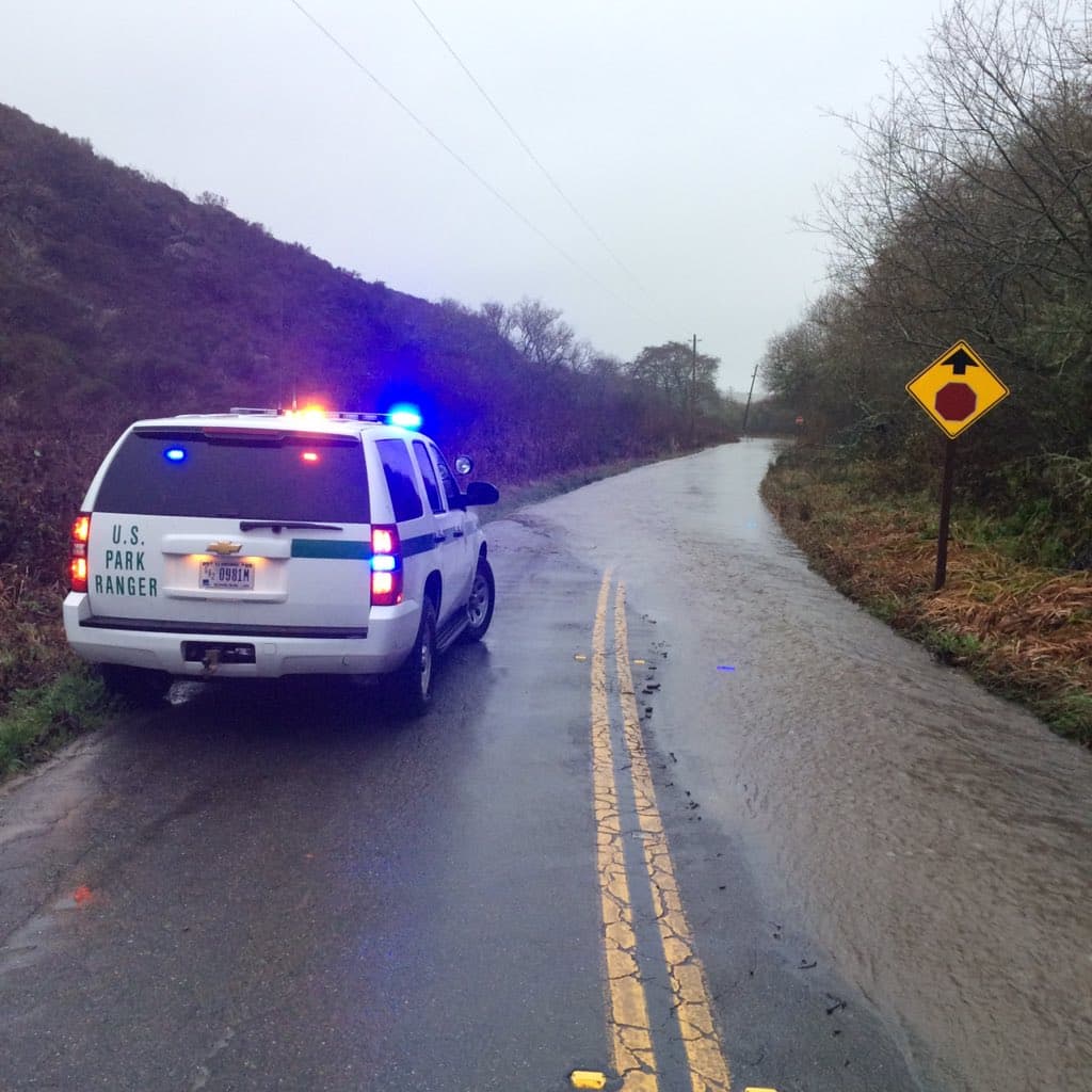 Las lluvias y la caída de árboles causaron cortes de carretera en el parque nacional Point Reyes, al norte de San Francisco.
