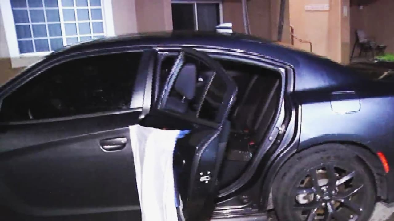 Varios vehículos son vandalizados en el noroeste de Miami-Dade: terminaron con las ventanas rotas