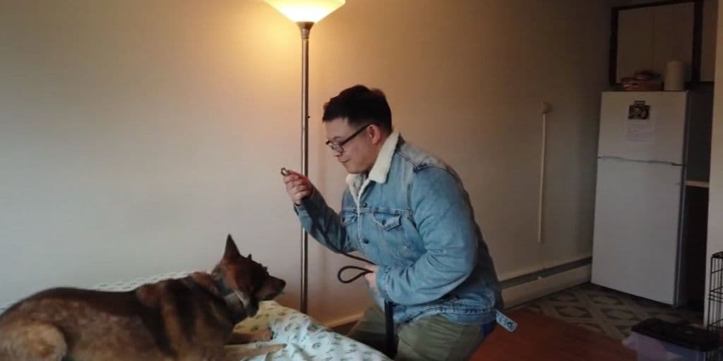 La mezcla de pastor y su dueño se conocieron hace casi un año y desde entonces han sido inseparables.