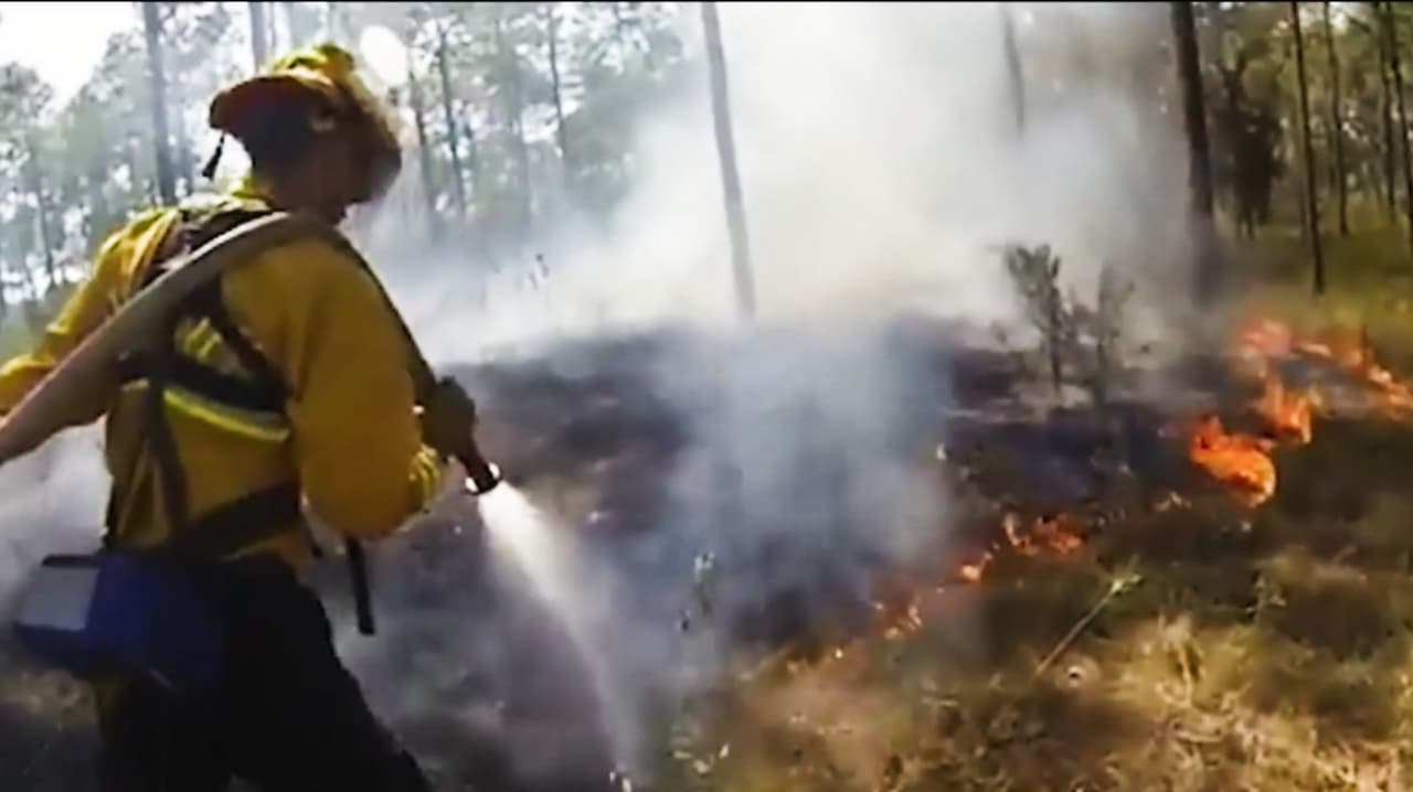 Autoridades advierten: sequía extrema dispara peligro de incendios forestales en Florida