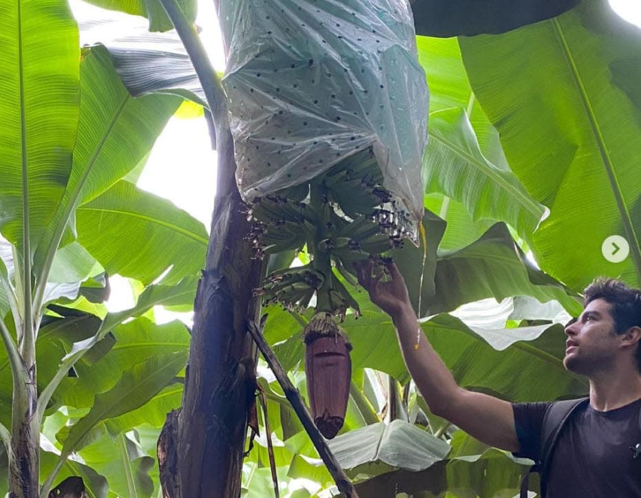"Cuando era pequeño 
<b>siempre quise tener estas tierras y poder trabajarlas</b>. Generar empleo y rentabilidad eran mis metas. La primera la ya cumplí y para la segunda falta poco". 
<br>