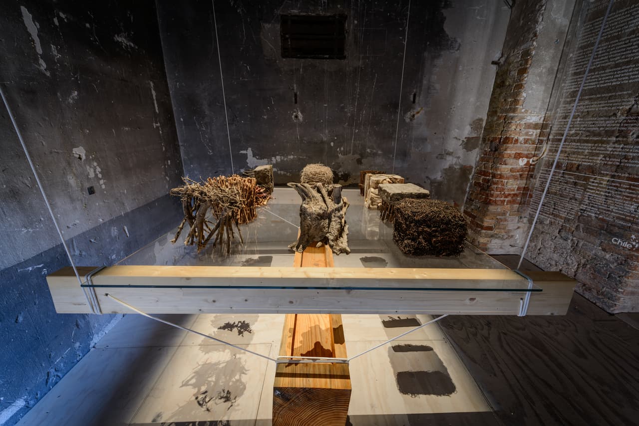 "A contracorriente", el pabellón chileno, pone el foco en el problema de la transformación del territorio rural.