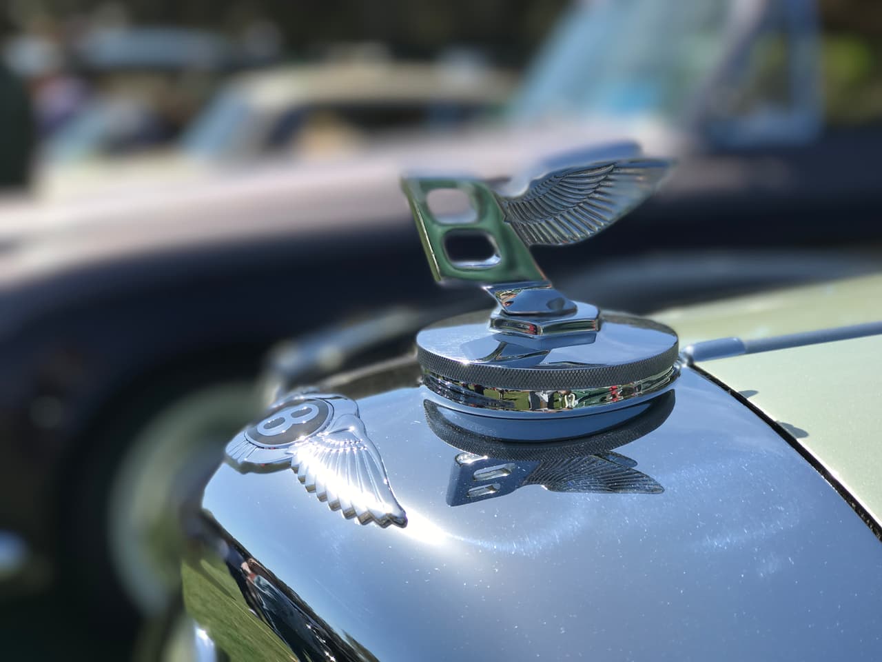 Esta 'B' alada fue el símbolo de la marca de lujo inglesa Bentley por muchos años y perdura hasta hoy pero en forma de medallón al ras de la carrocería, como el que también se puede apreciar en esta misma imagen. Esta 'B' alada reposa sobre la parrilla de un
<b> Bentley Convertible de 1953</b>.