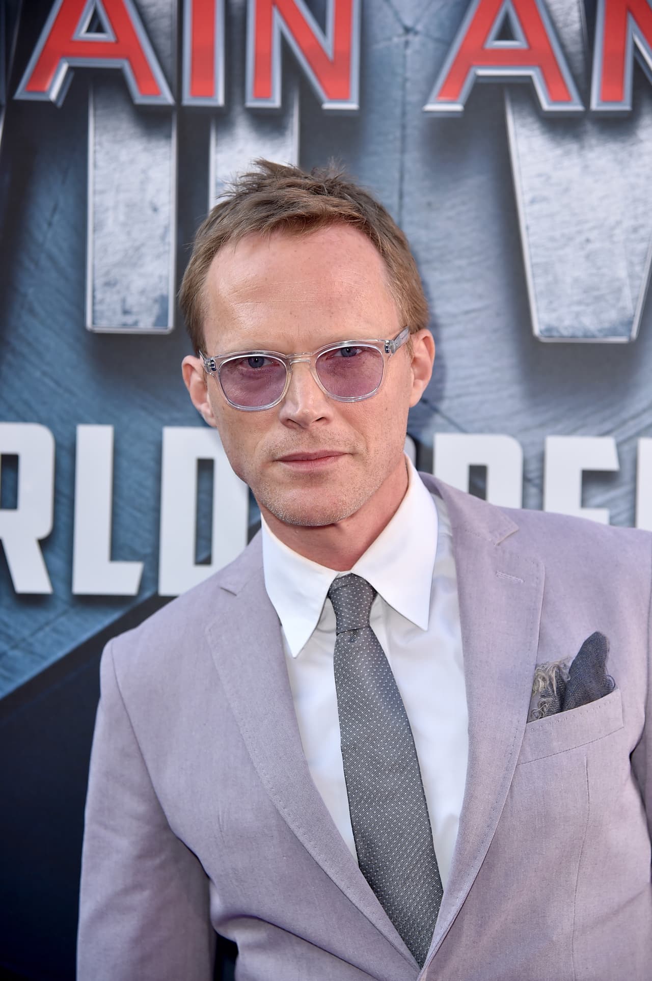 Paul Bettany (Vision)