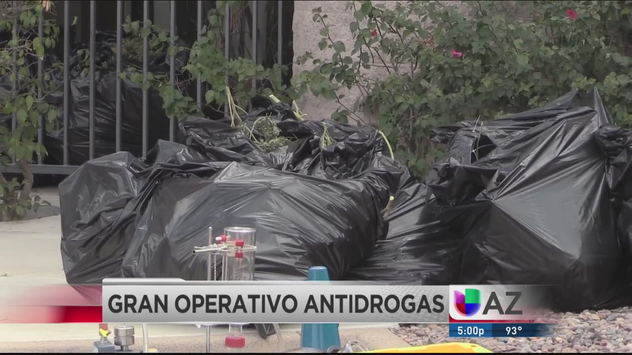 Desmantelan laboratorio clandestino de marihuana y aceite de hachís