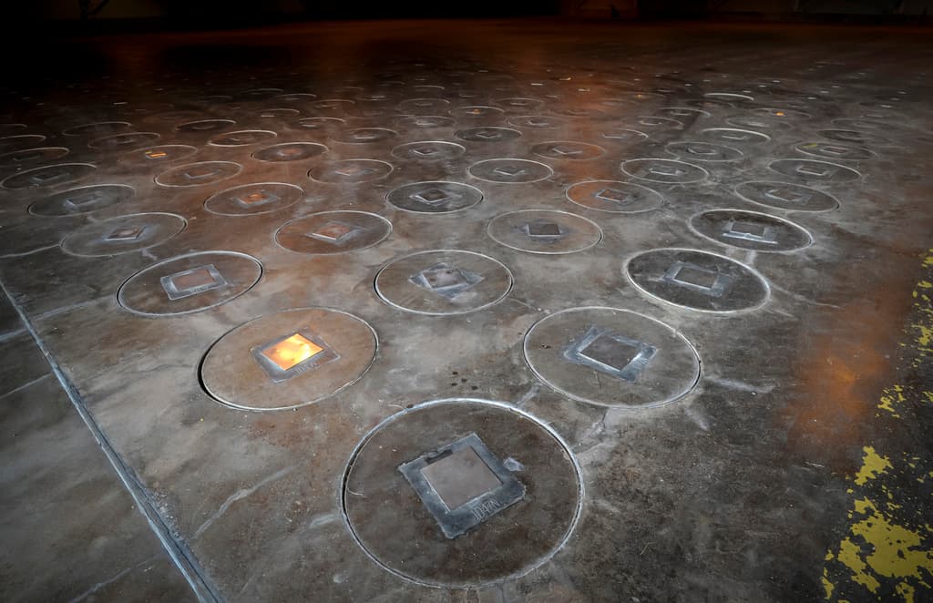 ¡De película de Marvel!: El avispero radioactivo que hallaron en una antigua fábrica de bombas atómicas en Carolina del Sur