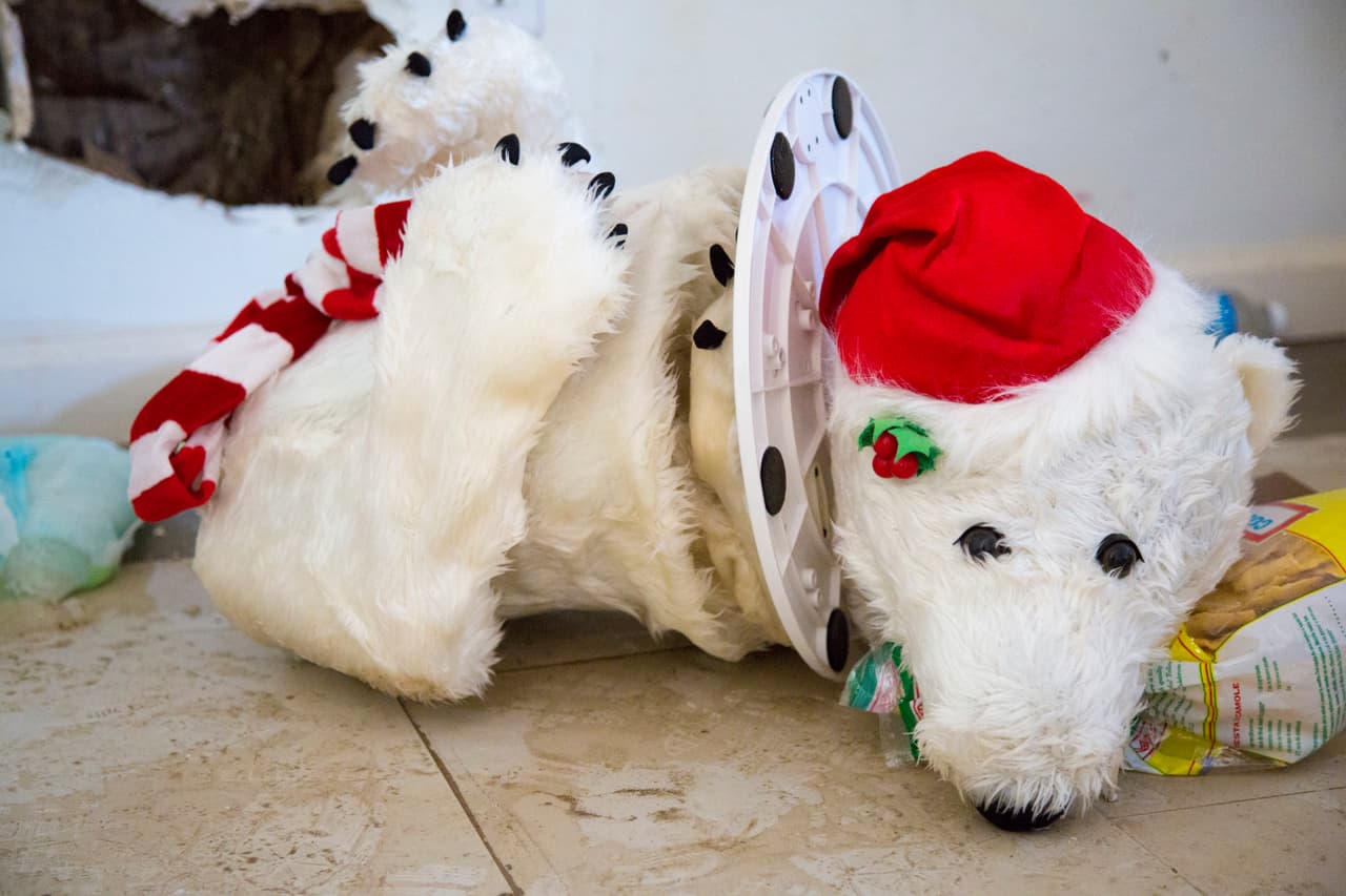 Esto es lo que quedó de un oso navideño que una inquilina esperaba usar el próximo diciembre.
