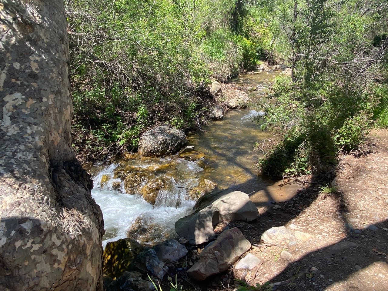 Además de agua, trae tu merienda, pero recuerda llevarte de regreso tu basura. El parque necesita que todos lo cuidemos.