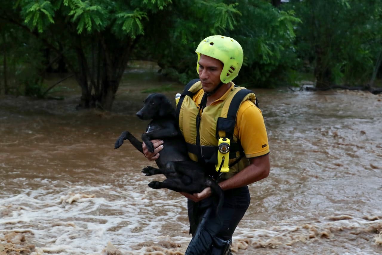 No han faltado voluntarios para apoyar en el rescate y apoyo a los animales afectados por las inundaciones.