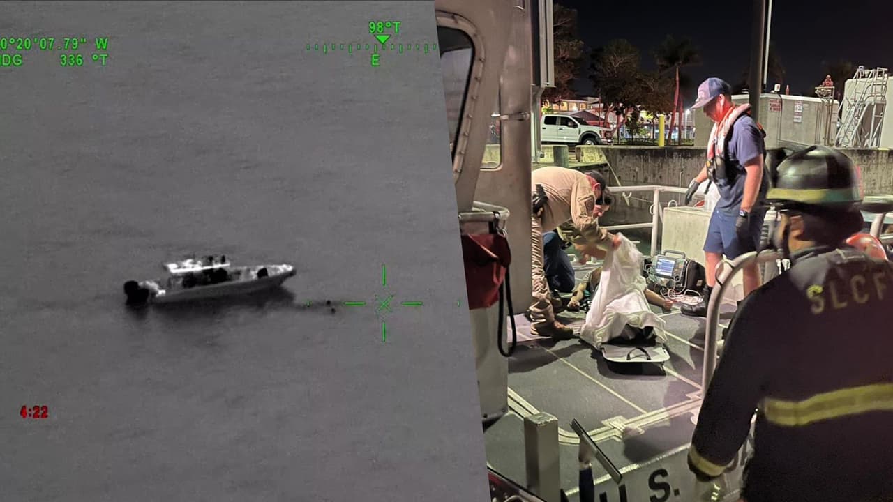 Avioneta cae cerca de Vero Beach: el rescate de sus tres ocupantes fue "como buscar una aguja en un pajar"