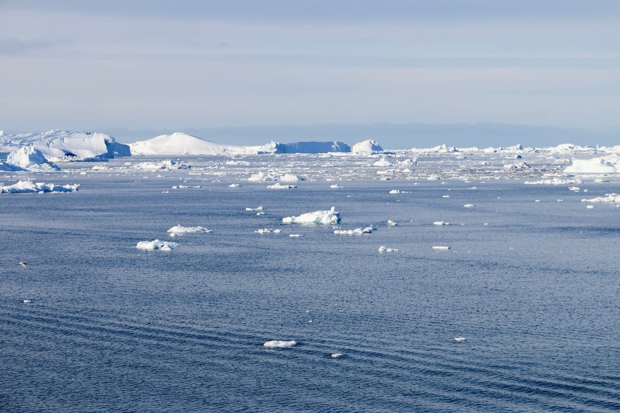 Mar polar con icebergs. Ilulissat, Groendlandia.