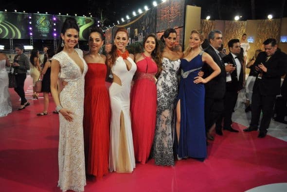 ¿Ya tienes a tu favorita?