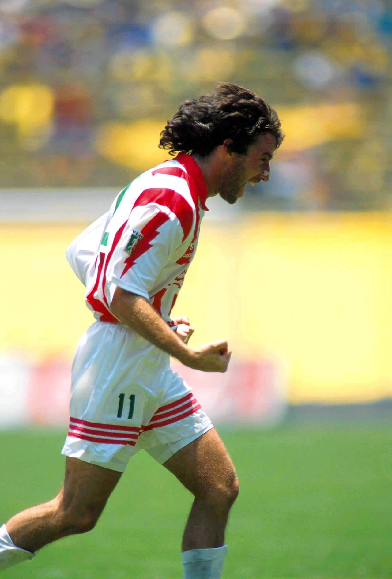 En Francia jugó tres campañas y en 1990 fue fichado por los Rayos del Necaxa, con quienes logró un bicampeonato de torneos largos.