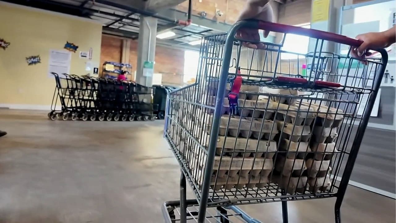 "Todo está caro: la gasolina, la comida... todo": Texas enfrenta creciente problema de inseguridad alimentaria