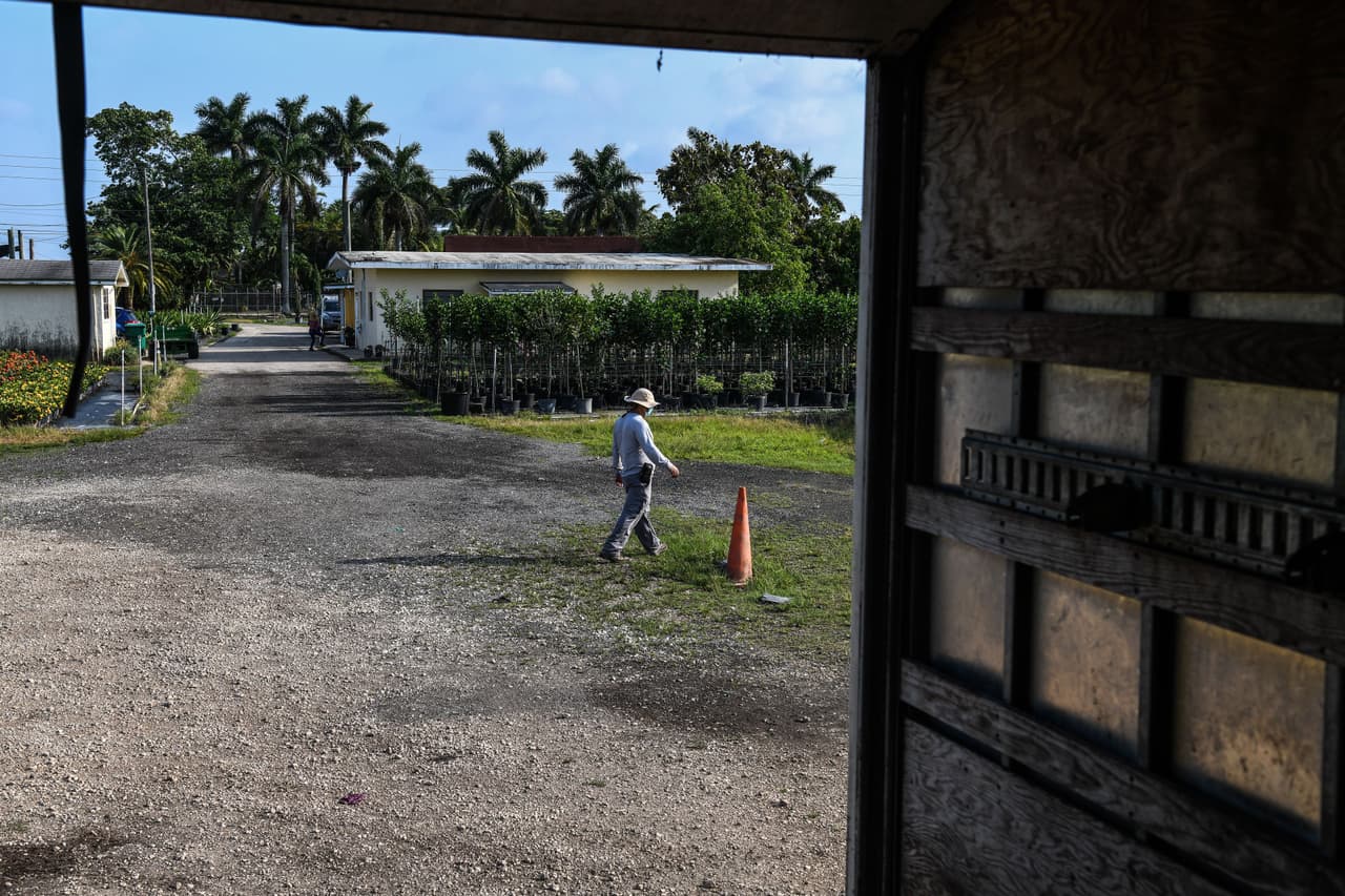 Claudia González, de la asociación de campesinos de Florida, dijo que “la autoridad ha debido exigir mascarillas desde el principio”. 
<br>