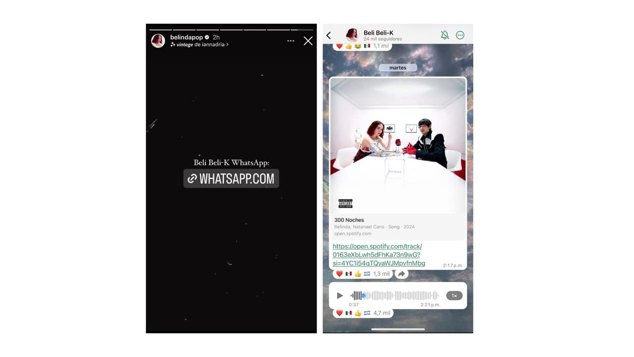 La cantante envió un mensaje a sus seguidores vía WhatsApp.