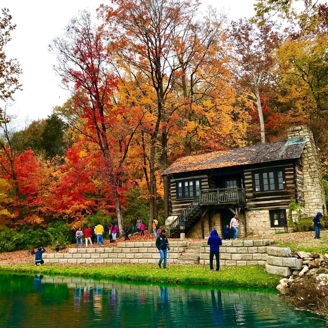 • El 
<a href="https://www.enjoyillinois.com/plan-your-trip/places-to-go/great-rivers-country/" target="_blank">Tour Great Rivers Country </a>( frontera occidental de Illinois) es para la segunda semana de octubre, cuando las hojas otoñales tienen su máximo esplendor, como aquí en el parque estatal Pere Marquette.
<br>