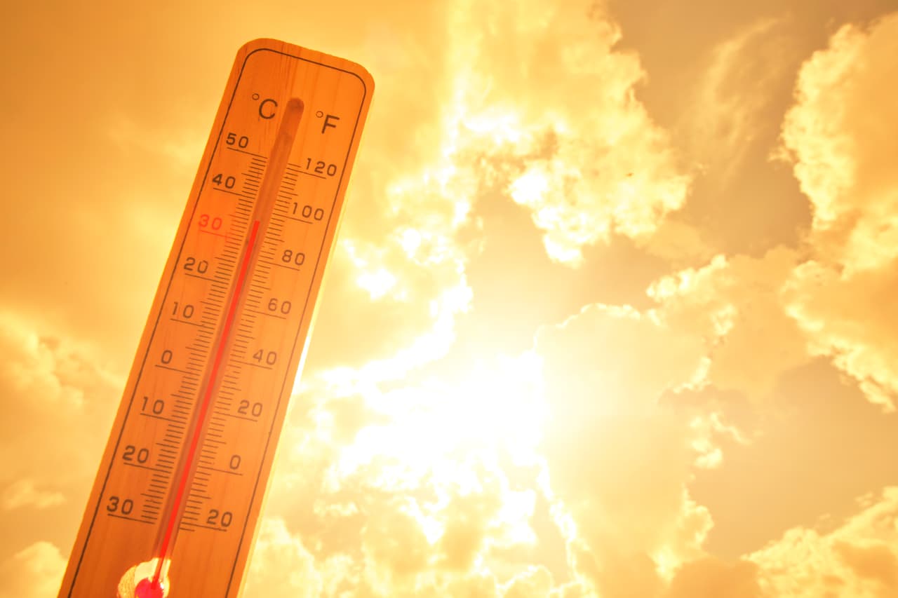 Georgia enfrentará una 
<b>ola de calor que afectará gran parte del norte y centro del estado</b>, con temperaturas que podrían alcanzar la sensación térmica 
<b>109 °F (43 °C)</b>.
<br>
<br>Además, durante la tarde y noche de este lunes, se prevé el desarrollo de 
<b>tormentas fuertes o severas</b>, principalmente en algunas zonas del norte de Georgia. Las autoridades recomiendan mantenerse atentos a las actualizaciones del pronóstico ante posibles condiciones meteorológicas adversas.