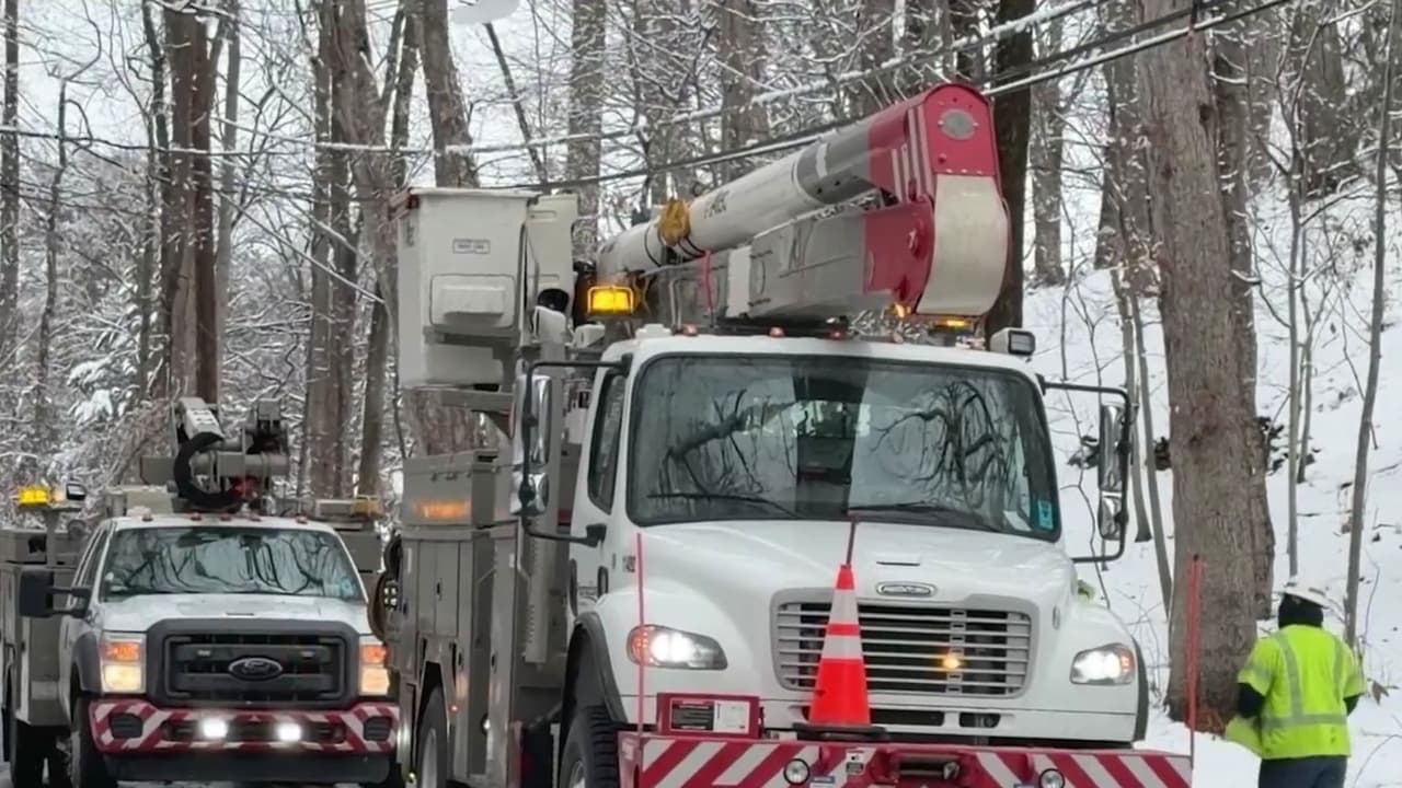 Árboles caídos, apagones y calles bloqueadas por tormenta invernal en el DMV