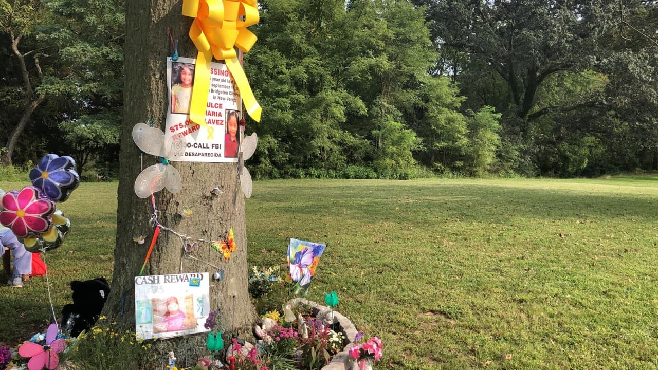 ICE publica declaración sobre el caso de la niña desaparecida Dulce María Alavez