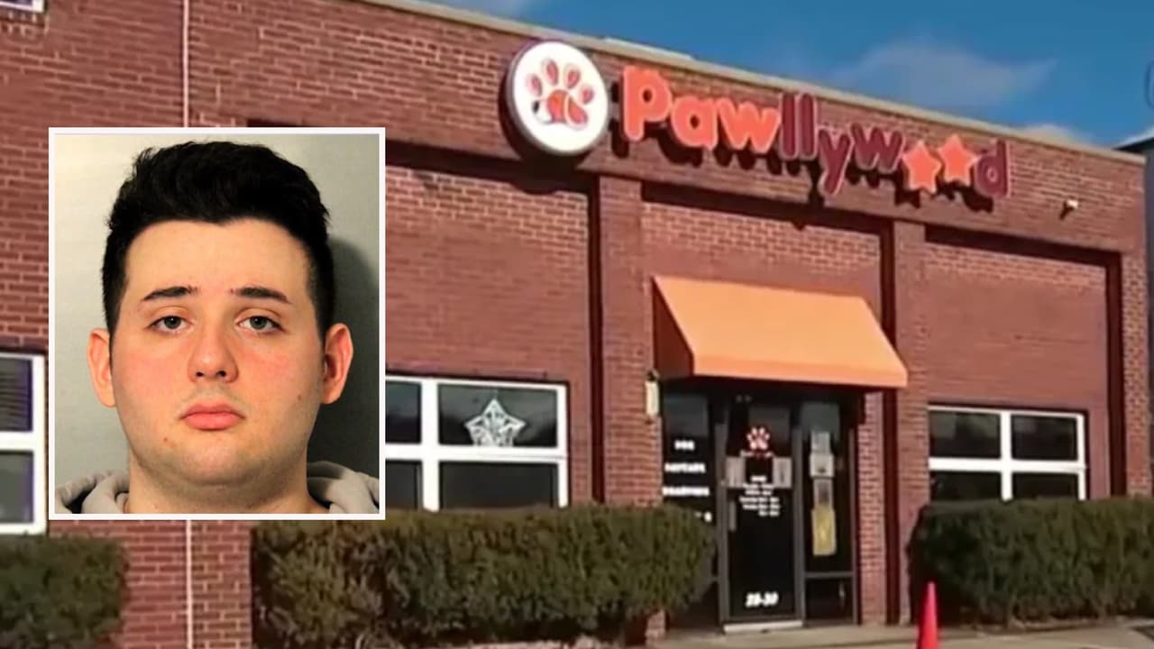 Acusan de maltrato animal al cuidador de una guardería canina en Long Island