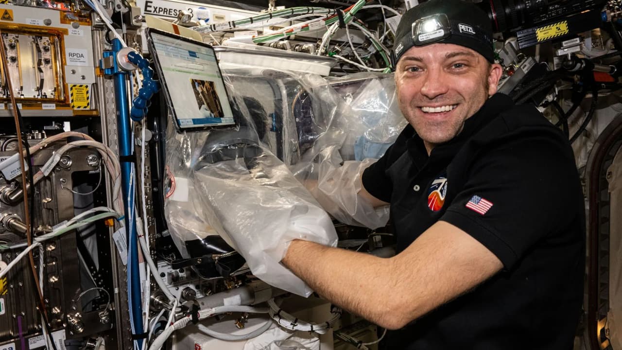 <b>Microorganismos resistentes: </b>Se extrajo ADN para estudiar la resistencia a antibióticos en el espacio. Los hallazgos ayudarán a proteger a astronautas y personas en hospitales de bacterias resistentes.