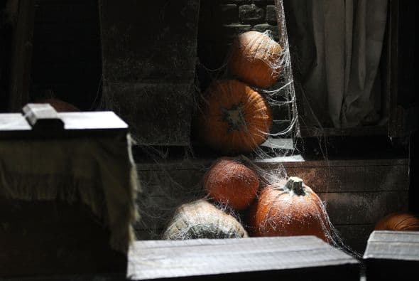 Se podrá disfrutar de un ambiente terrorífico y mucha diversión.