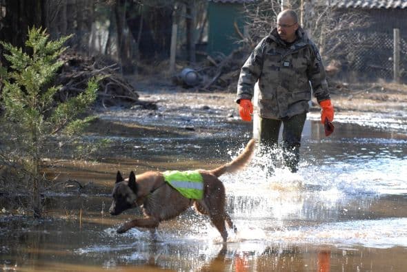 Las pérdidas económicas fueron alrededor de $6,100 millones y las víctimas sumaron 65.