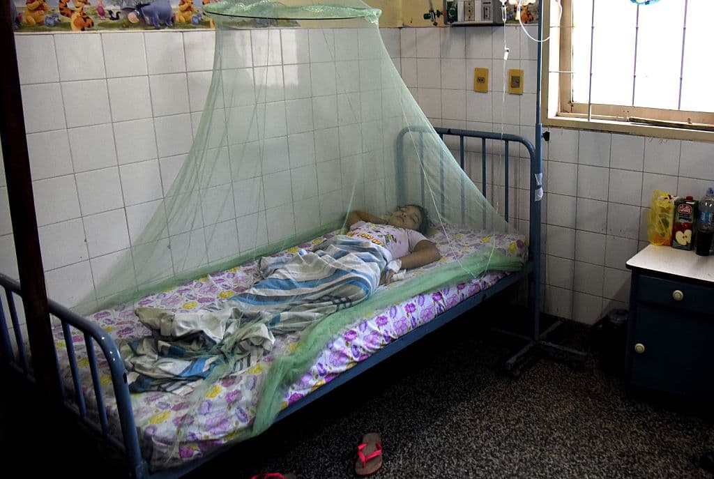 Un hito para el continente americano: Paraguay está libre de malaria