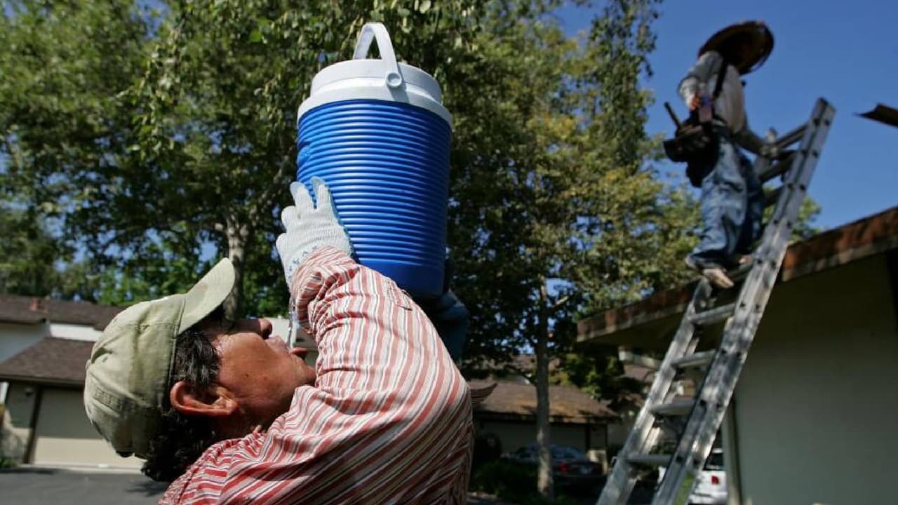 Además, deberá 
<b>proporcionar electrolitos</b> si los empleados están sudando por más de dos horas, así como un 
<b>espacio de sombra o ambiente con clima</b> controlado.