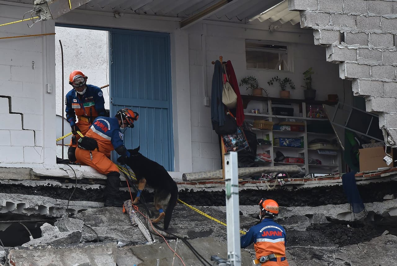 Rescatistas japoneses llevan al perro por los escombros del Edificio Álvaro Obregón 286, que colapsó en la Ciudad de México.
<br>