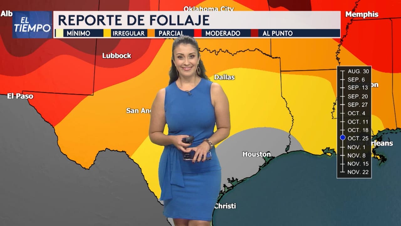 Aquí te explicamos cuándo cambiarán de color las hojas de los árboles por el otoño en el centro de Texas.