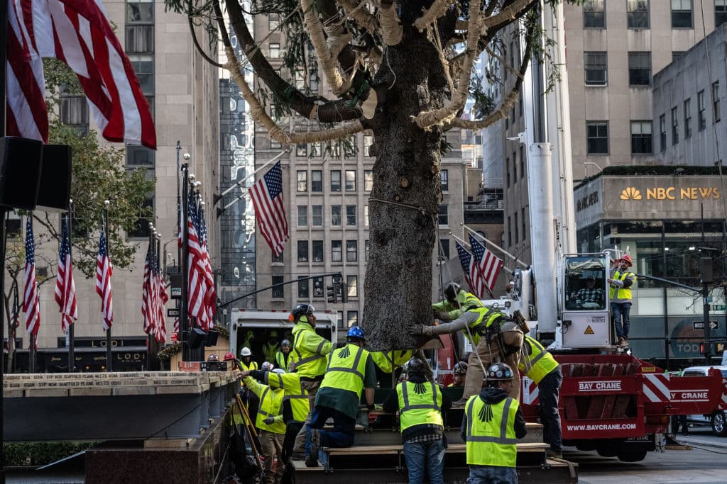 No hay una fecha fija para retirar el árbol en enero de 2025, pero sí se informó que su madera será donada a la organización Habitat for Humanity.